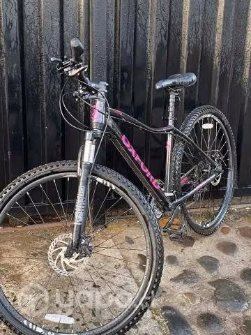 Bicicleta Oxford Venus 2021 ARO 29
