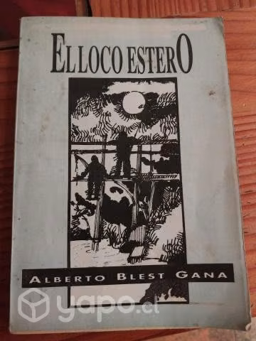 El loco estero (Alberto Blest Gana)
