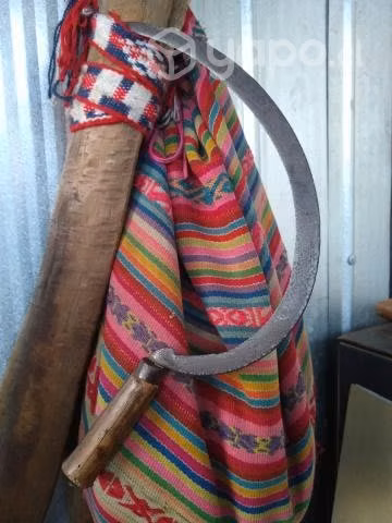 Antigua echona