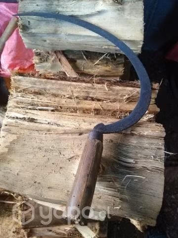 Antigua echona