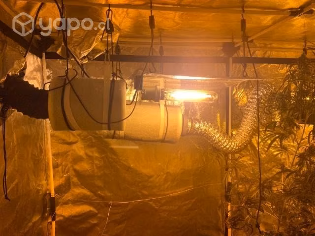 Indoor como nuevo