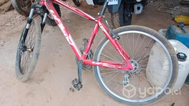 Bicicleta upland 160 - Imagen 4