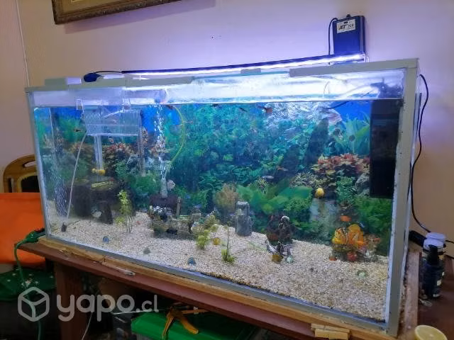 Acuario 170litros 1.5mt largo 2 bomba 1f