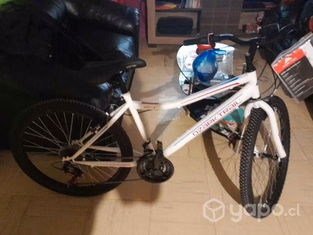 Bicicleta