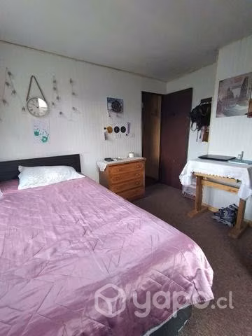 parcela, media hectaria con casa - Imagen 10