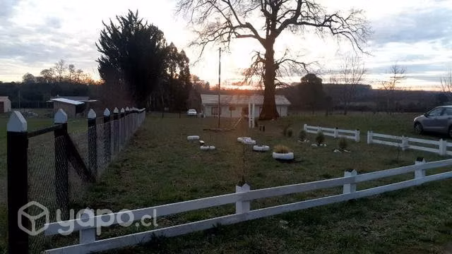parcela, media hectaria con casa - Imagen 3
