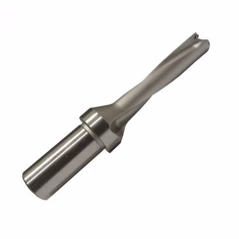 Broca con inserto 22mm 3d