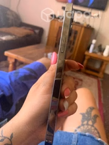 IPHONE 12 pro max