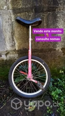 Monociclo