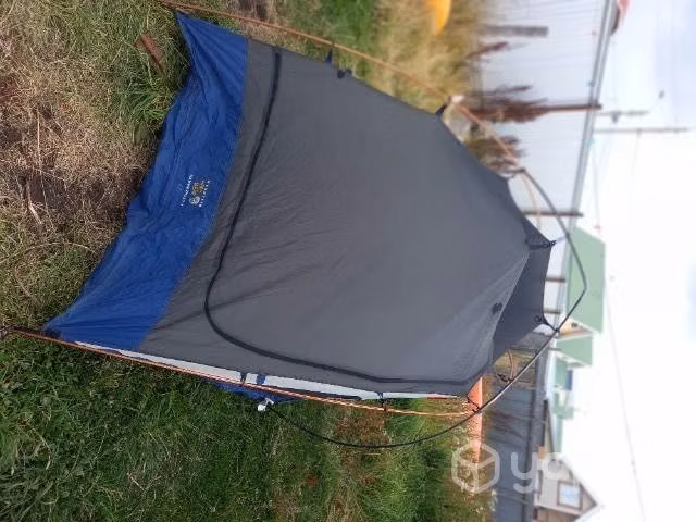 Carpa
