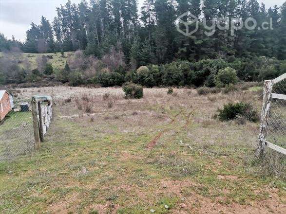 Parcela en hualqui, sector el maiten - Imagen 4