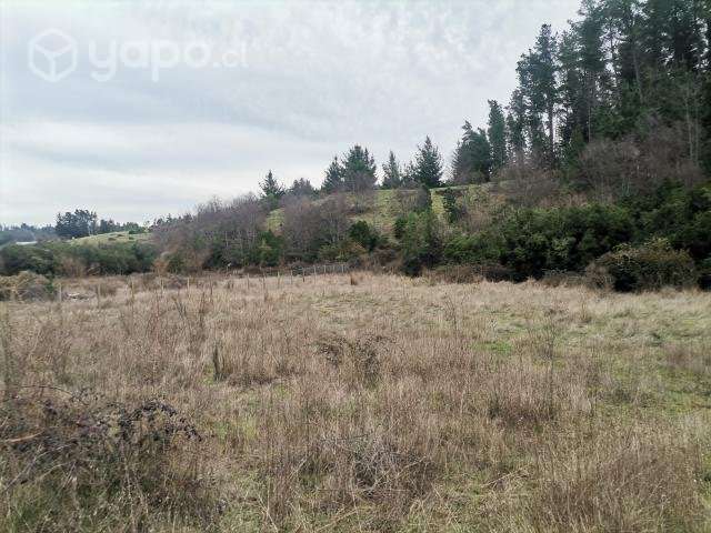 Parcela en hualqui, sector el maiten - Imagen 2