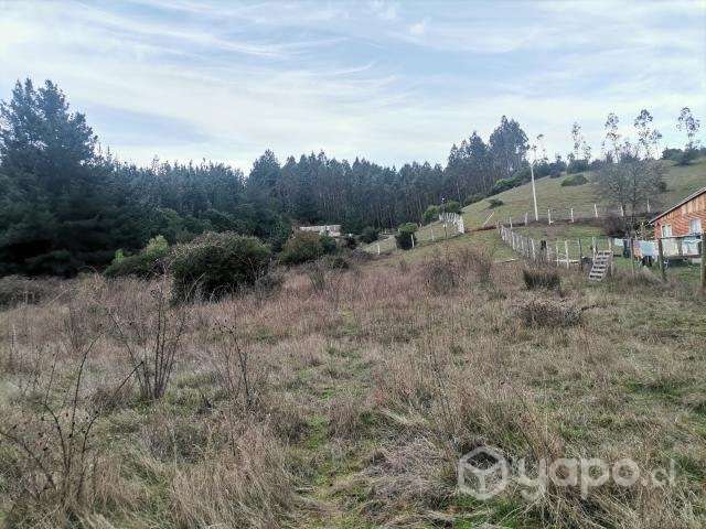 Parcela en hualqui, sector el maiten - Imagen 3
