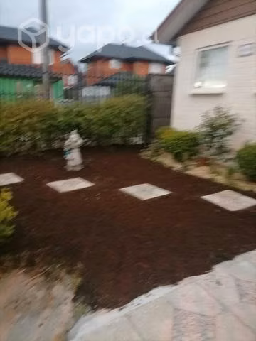 Compost de paja aserrín y estiércol de caballo