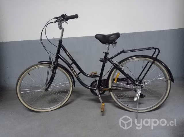 Bicicleta paseo