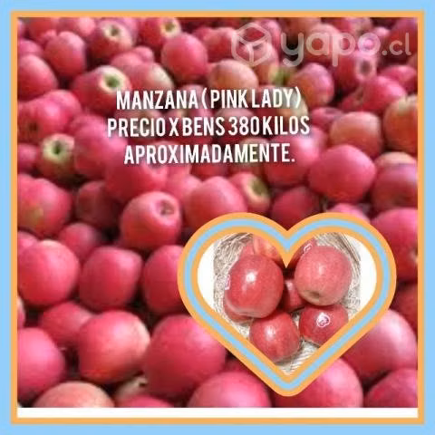 bins frutas temporada
