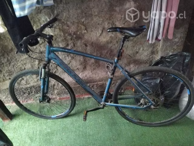 Pistera 27.5