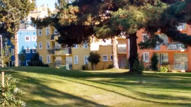 Departamento en mirasol