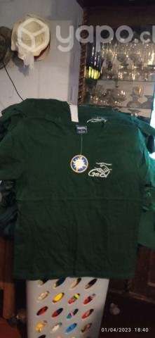 Lote de poleras - Imagen 3
