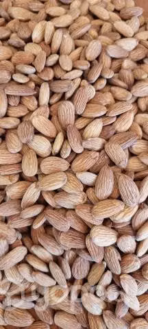 Almendras cosecha 2023.