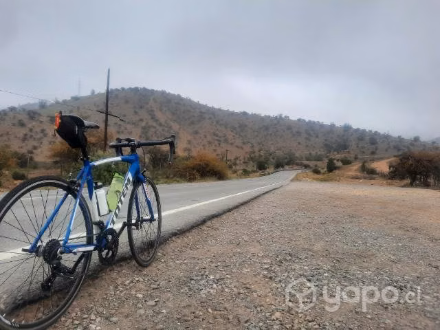 Bicicleta rutera totem - Imagen 5