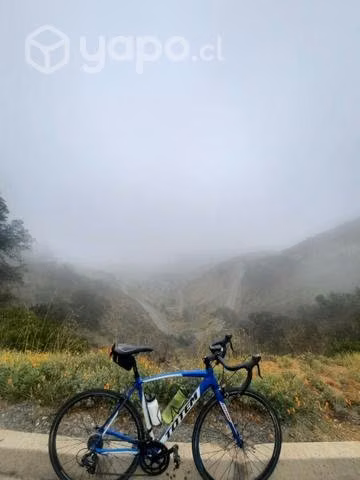 Bicicleta rutera totem - Imagen 3