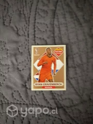 Ryan gravenberch extra stickers rookie bronce