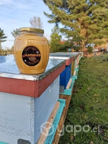 Miel natural de abeja