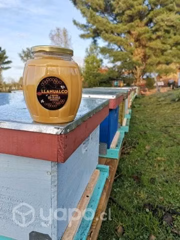 Miel natural de abeja