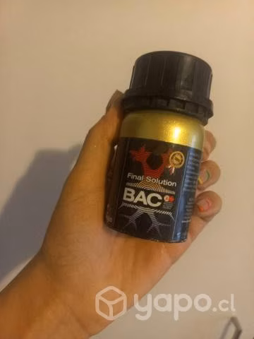 Final solution BAC