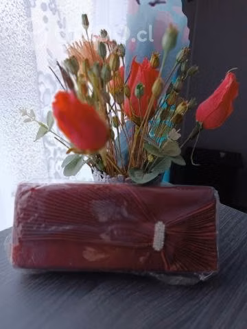 Cartera y cartera de fiesta.