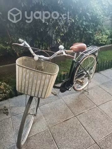 Bicicleta de Paseo