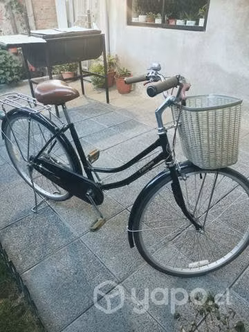 Bicicleta de Paseo