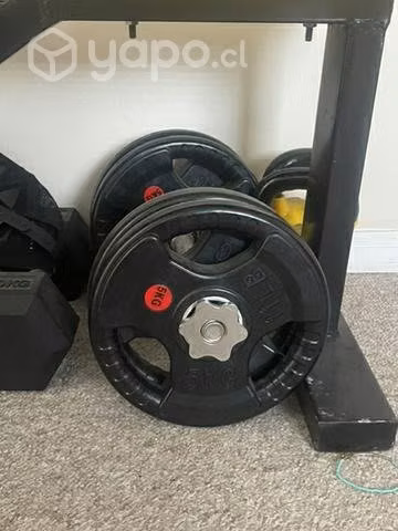 4 discos de 5 kg más mancuerna