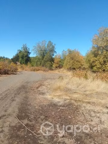 Parcela en laguna de flores