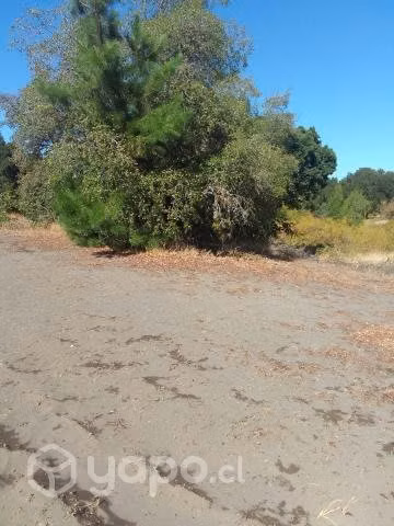 Parcela en laguna de flores
