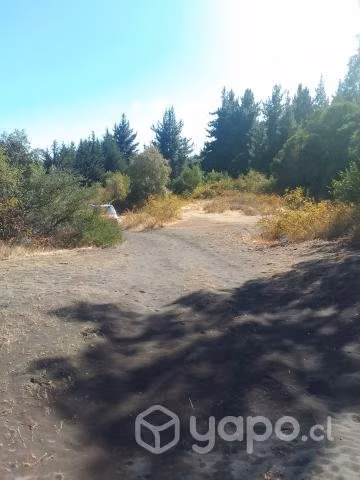 Parcela en laguna de flores
