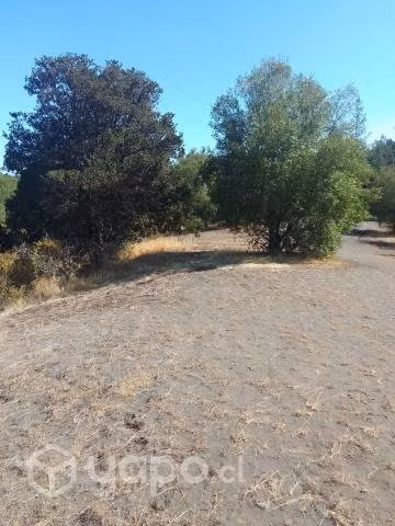 Parcela en laguna de flores