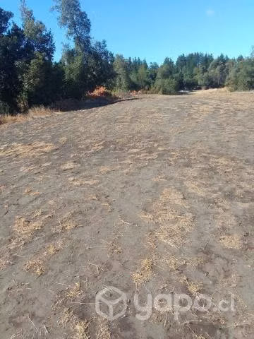Parcela en laguna de flores