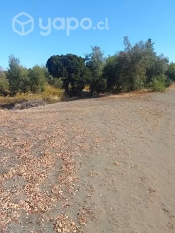 Parcela en laguna de flores