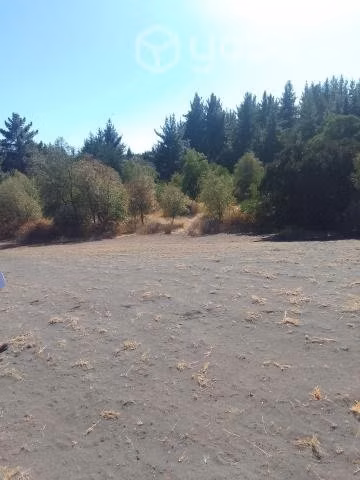 Parcela en laguna de flores