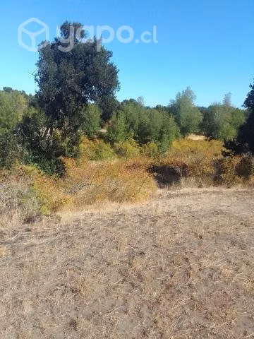 Parcela en laguna de flores