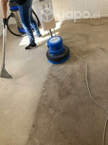 Limpieza de alfombras pisos flotantes tapices