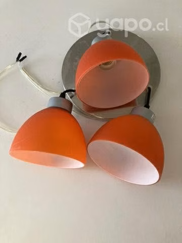 Lámparas de tulipán
