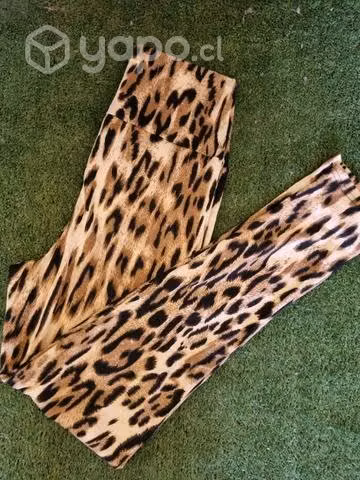 Calzas nuevas - Imagen 2
