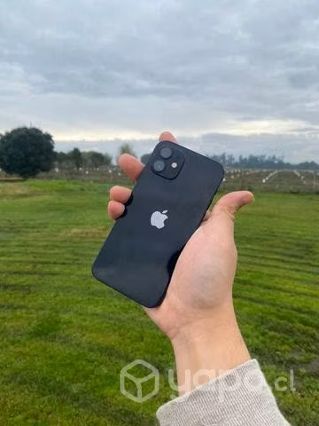 Iphone 12 - Imagen 4