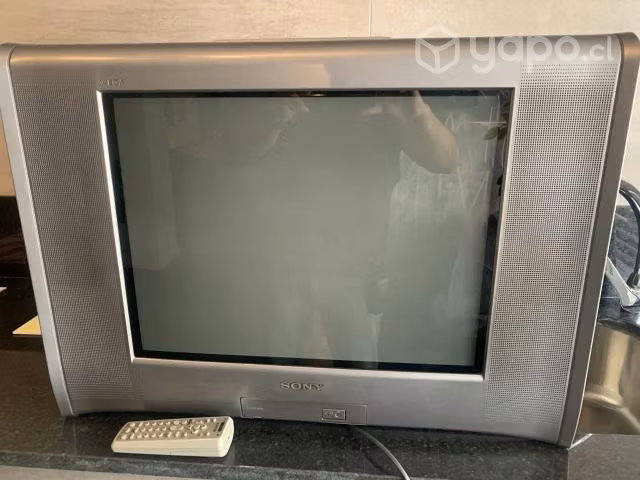 Tv Sony 21 Vega con radio Fm