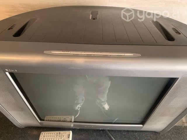 Tv Sony 21 Vega con radio Fm
