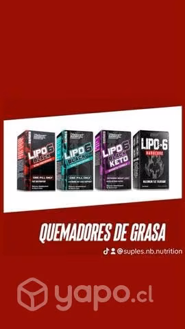 Quemadores de grasa lipo 6