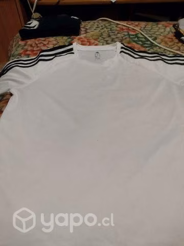 Poleras perfectas condiciones - Imagen 6